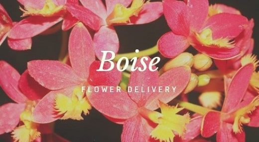 The 8 Best Options for Flower Delivery in Boise