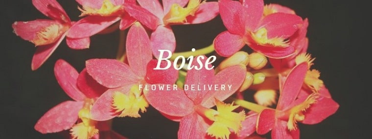 Best Flower Delivery Boise