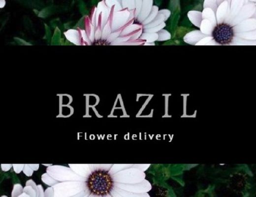 The 9 Best Options for Flower Delivery in Brazil