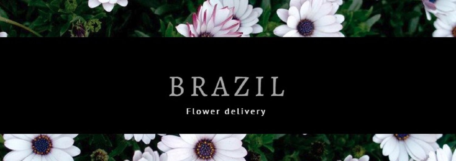 Best Flower Delivery Brazil
