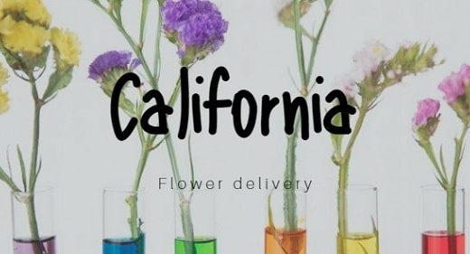 The 13 Best Options for Flower Delivery in California