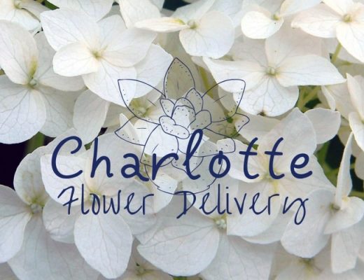 11 Best Flower Delivery in Charlotte, NC