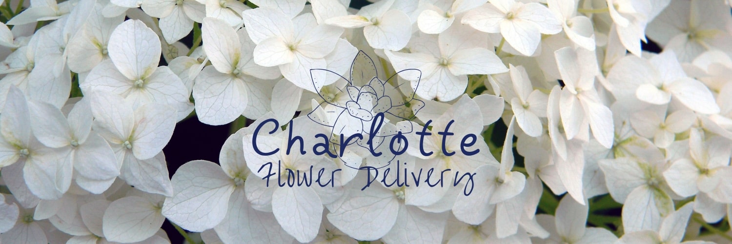 Best Flower Delivery Charlotte