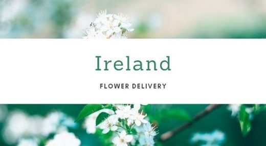 The 9 Best Options for Flower Delivery in Ireland