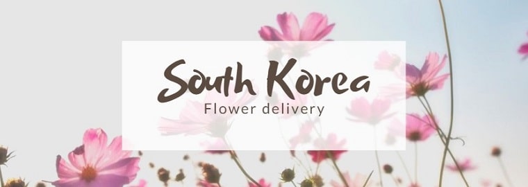 Best Flower Delivery Korea