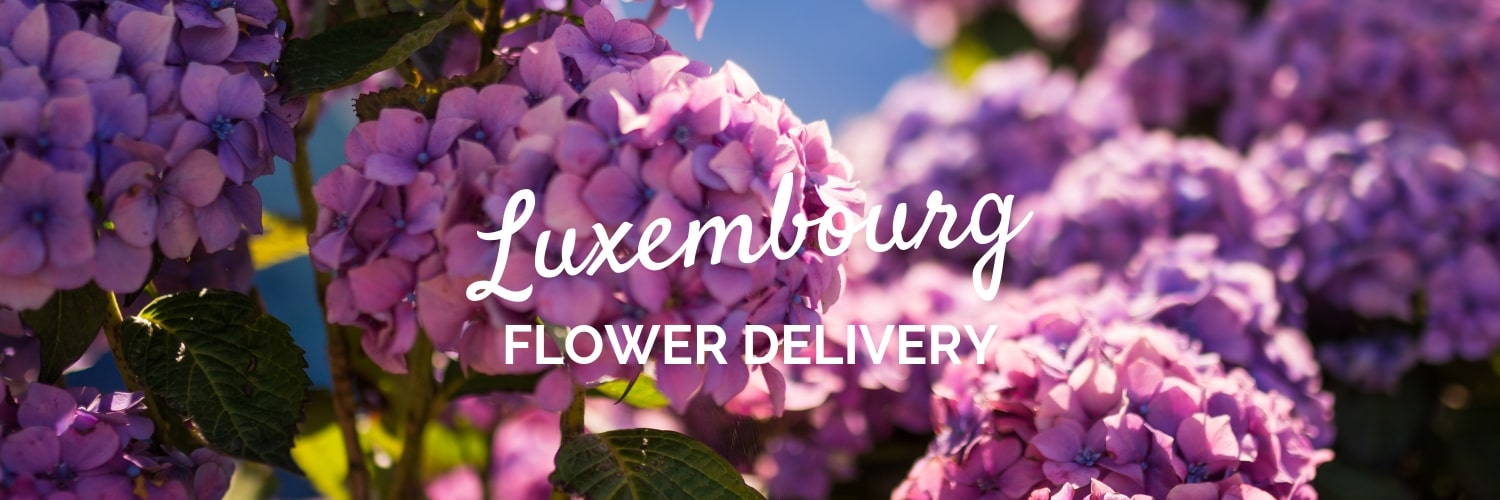 Best Flower Delivery Luxembourg