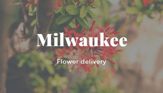 The 10 Best Options for Flower Delivery in Milwaukee