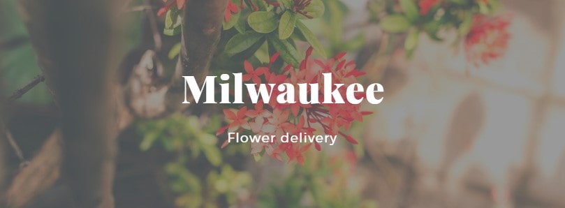 Best Flower Delivery Milwaukee