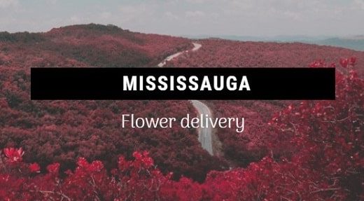 Best Flower Delivery Mississauga