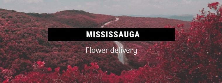 Best Flower Delivery Mississauga