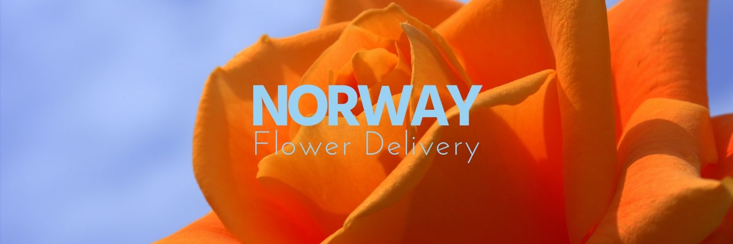 Best Flower Delivery Norway