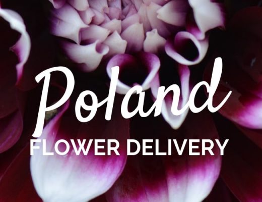 The 8 Best Options for Flower Delivery in Poland