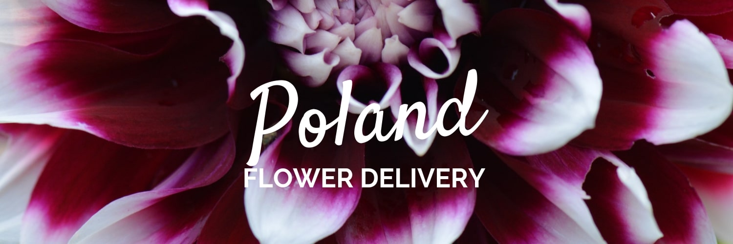Best Flower Delivery Poland