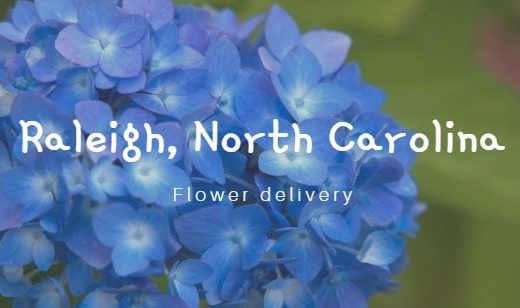 9 Best Flower Delivery in Raleigh, NC