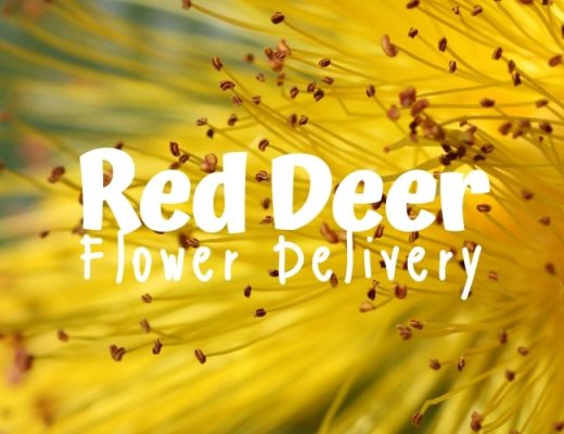 The 8 Best Options for Flower Delivery in Red Deer