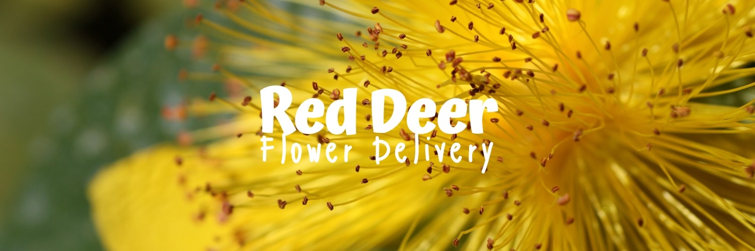 Flower Delivery In Red Deer