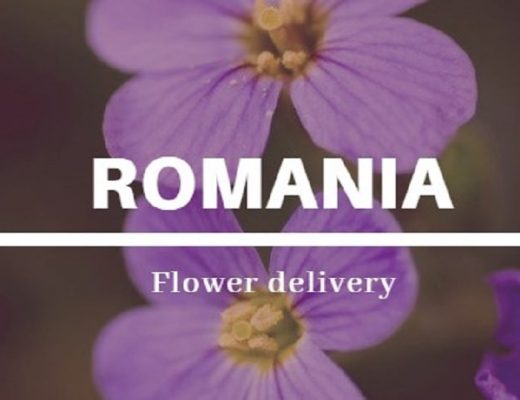 The 10 Best Options for Flower Delivery in Romania