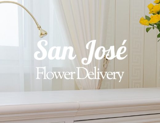 The 11 Best Options for Flower Delivery in San José