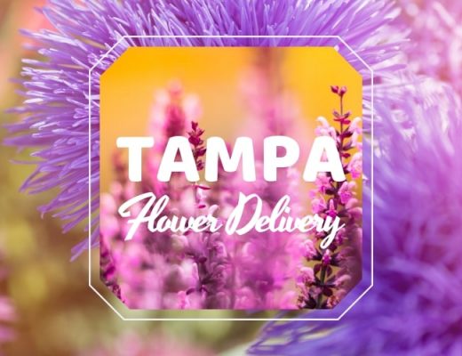 The 8 Best Options for Flower Delivery in Tampa