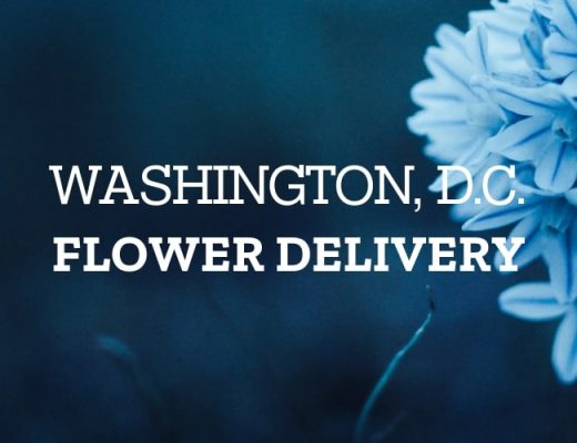 The 12 Best Options for Flower Delivery in Washington, D.C.