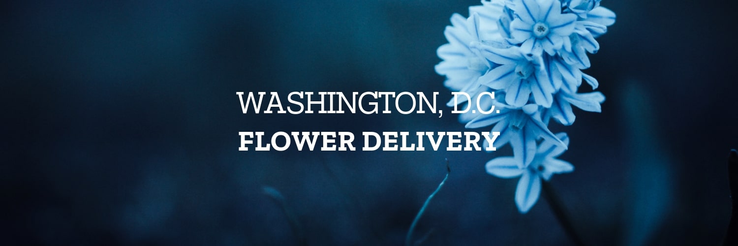 Best Flower Delivery Washington DC