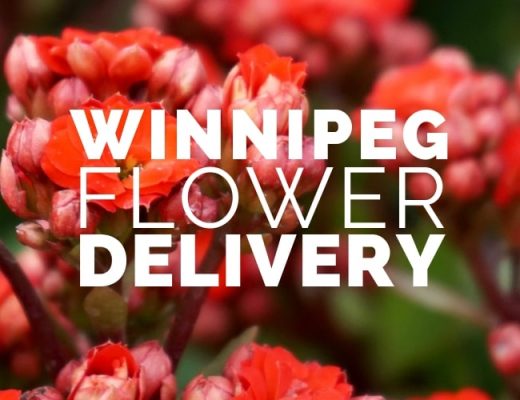 The 11 Best Options for Flower Delivery in Winnipeg