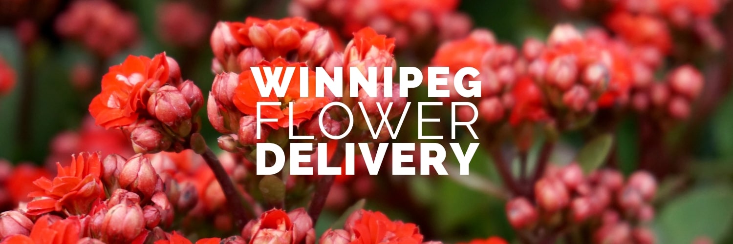 Best Flower Delivery Winnipeg