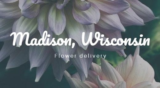 The 8 Best Options for Flower Delivery in Madison Wisconsin