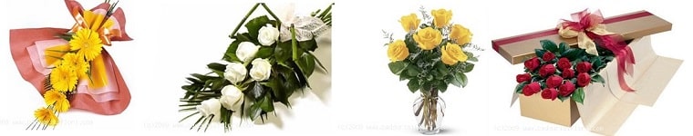 Best Flower Delivery Romania | Cadouri si Flori