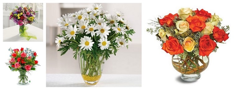 Best Flower Delivery Charlotte | Colonial Florist of Charlotte