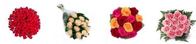 Best Flower Delivery Brazil | Floresnaweb