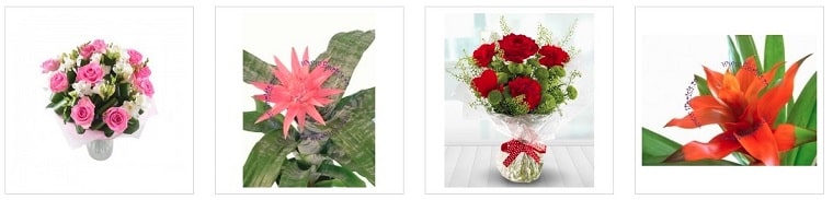 Best Flower Delivery Romania | Florisis