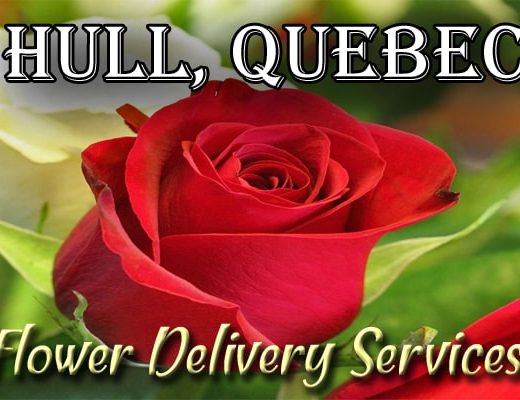 The 6 Best Options for Flower Delivery in Hull, Quebec