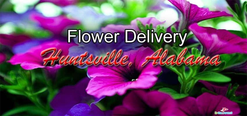 Best Flower Delivery Huntsville, Alabama