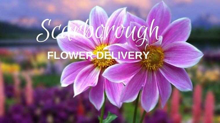 Flower Delivery Scarborough