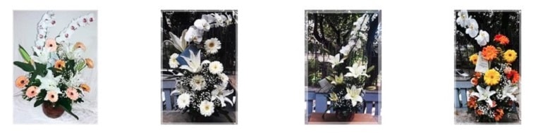 Best Flower Delivery Brazil | Flowers Club
