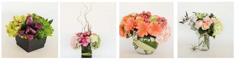 Best Flower Delivery San Jose | Flowers by Ivy