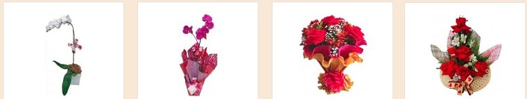 Best Flower Delivery Brazil | Marina Fiori