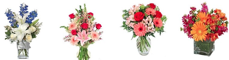 Best Flower Delivery Billings Montana | Plantasia