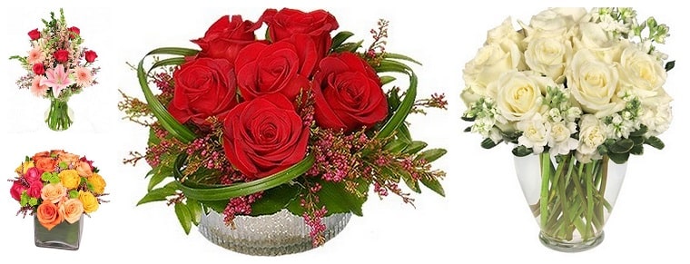 The 8 Best Options for Flower Delivery in Colorado Springs