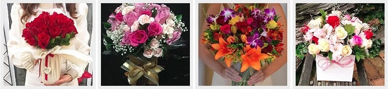 Best Flower Delivery Brazil | Pollen