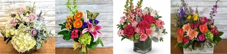 Best Flower Delivery New Jersey | Purple Iris