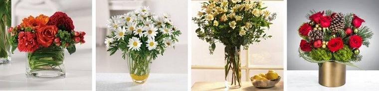 Best Flower Delivery Minneapolis | Rose Shop