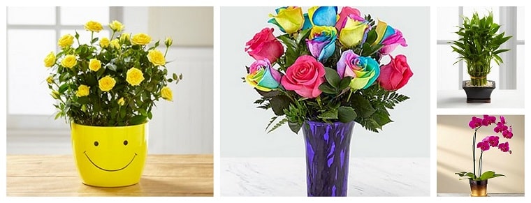 The 8 Best Options for Flower Delivery in Colorado Springs