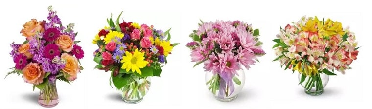 Best Flower Delivery New Jersey | Sussex County Florist