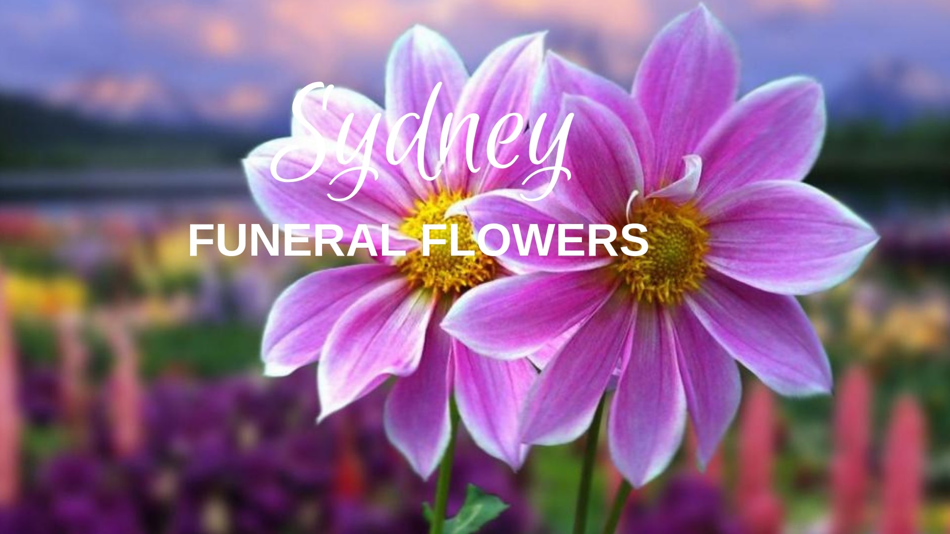 Best Funeral Flower Sydney