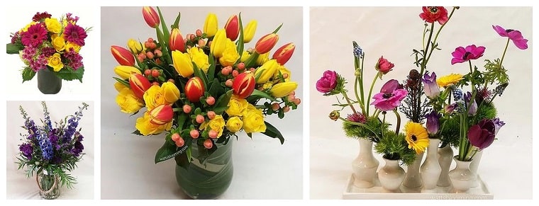 Best Flower Delivery Indianapolis | Watt's Blooming