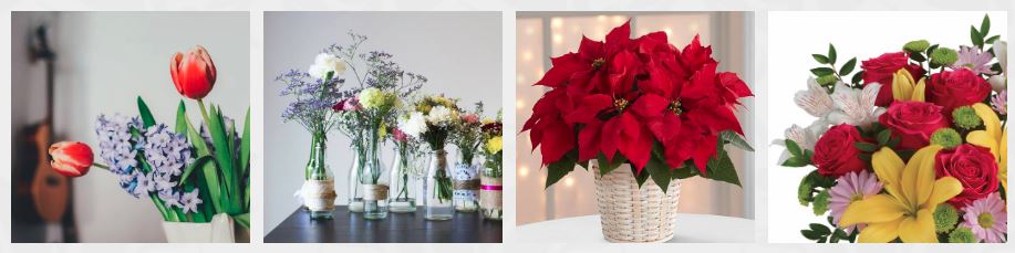 best florist in baltimore - rutland beard florist