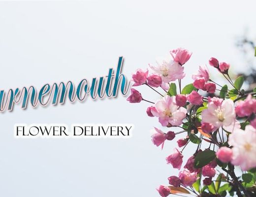 The 10 Best Options for Flower Delivery in Bournemouth
