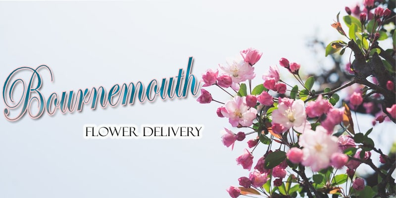 Best Flower Delivery Bournemouth